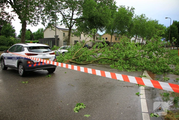 Straat afgezet na val enorme tak