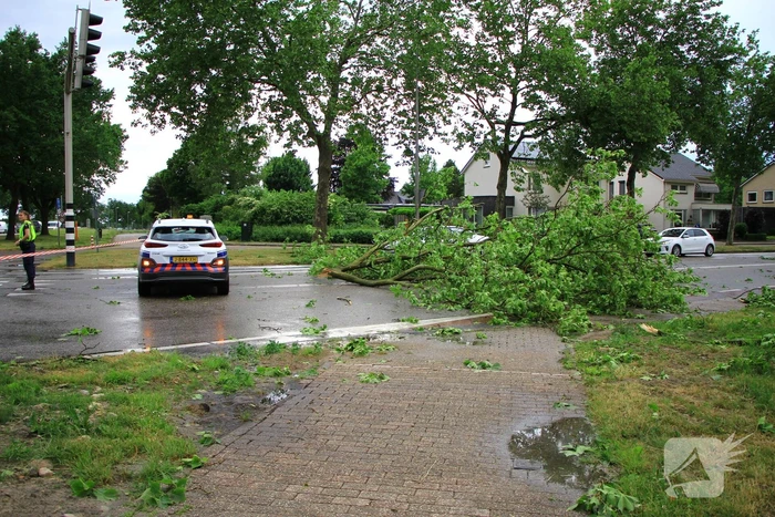 Straat afgezet na val enorme tak