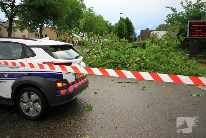 Straat afgezet na val enorme tak