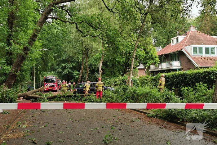 natuur bennekomseweg wageningen