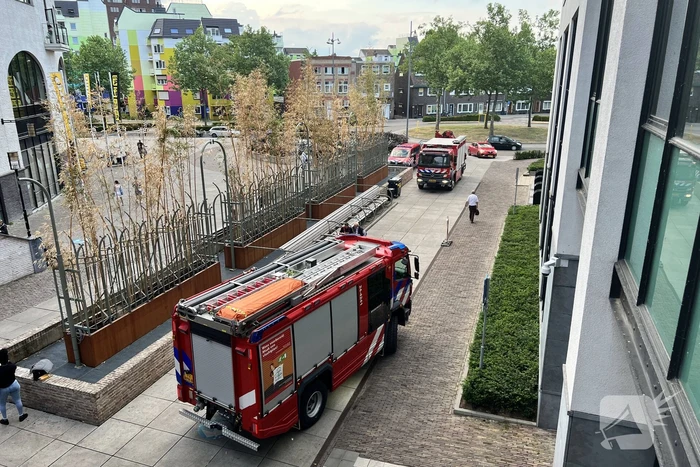 Treinverkeer stilgelegd na incident op station