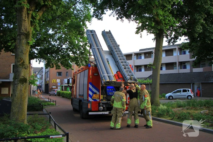 natuur hegstraat weert