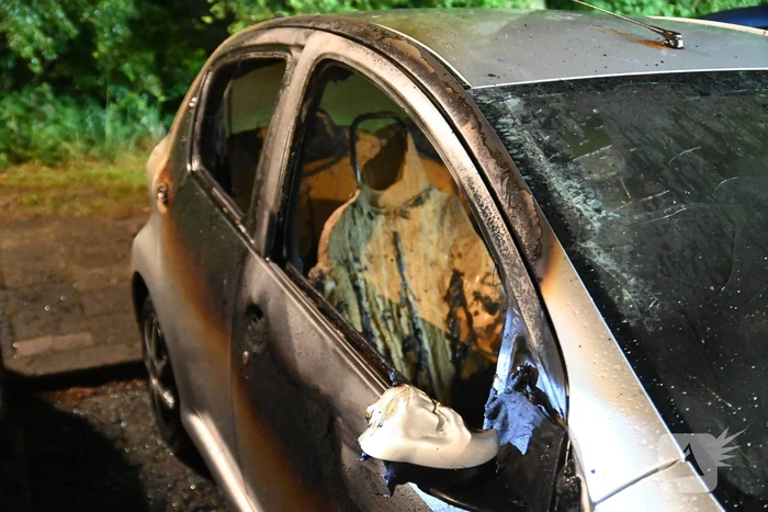 Geparkeerd staande auto verwoest vanwege brand