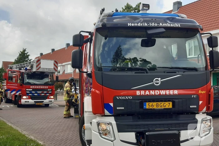 Verzwakte zwaan door brandweer bevrijdt van dakkapel
