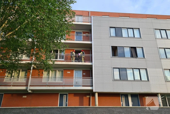 Pan op het vuur zorgt voor rookontwikkeling