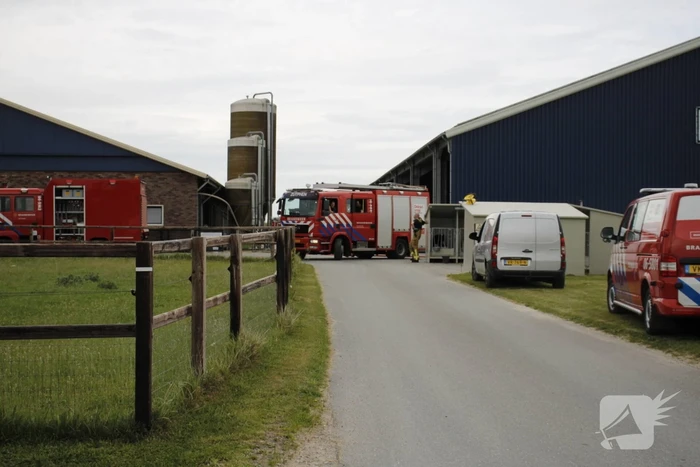 brand lamstraat toldijk