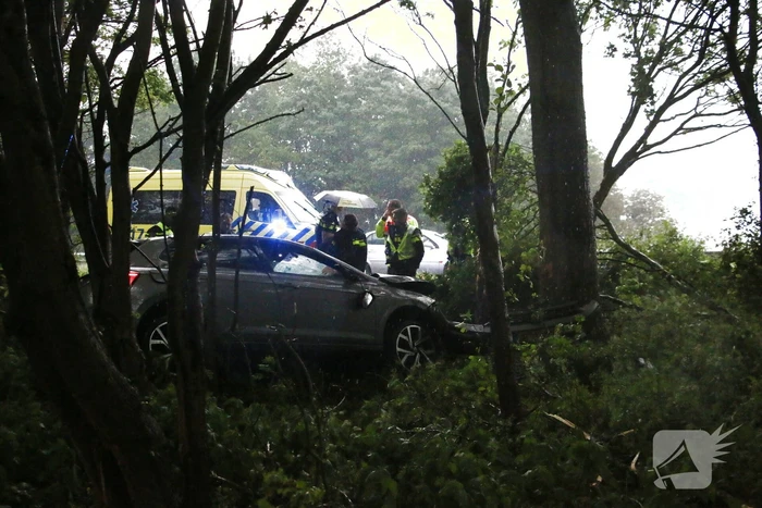 Automobilist schiet van de weg en belandt in bosschage