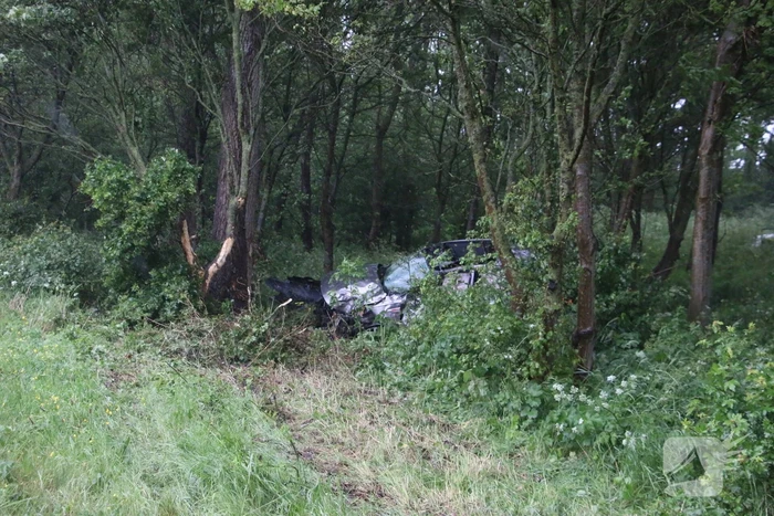 Automobilist schiet van de weg en belandt in bosschage