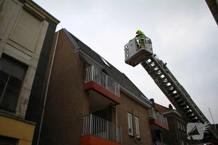natuur prinsenstraatje weert