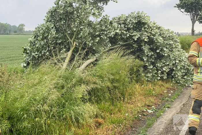 Automobilist raakt van de weg en belandt in sloot