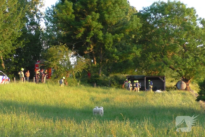 Brand in schuur voor schapen snel onder controle