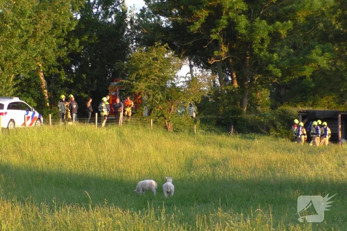 Brand in schuur voor schapen snel onder controle