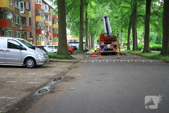 nieuws dillenburg weert