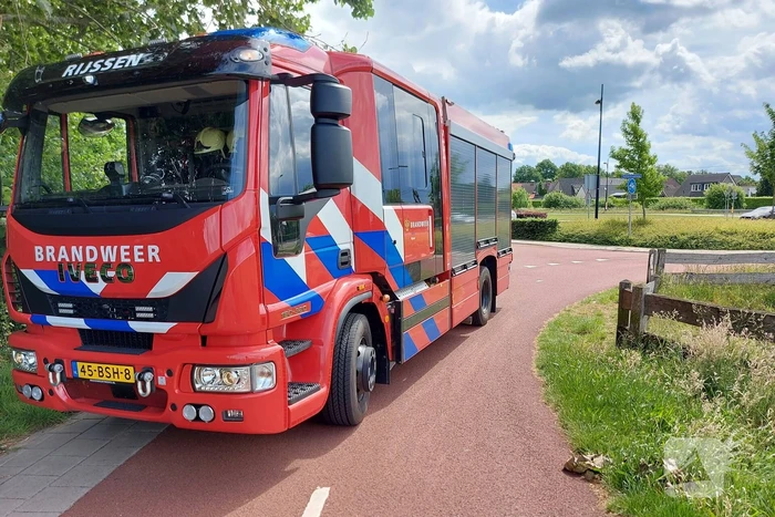 Visdraad brengt eend in problemen