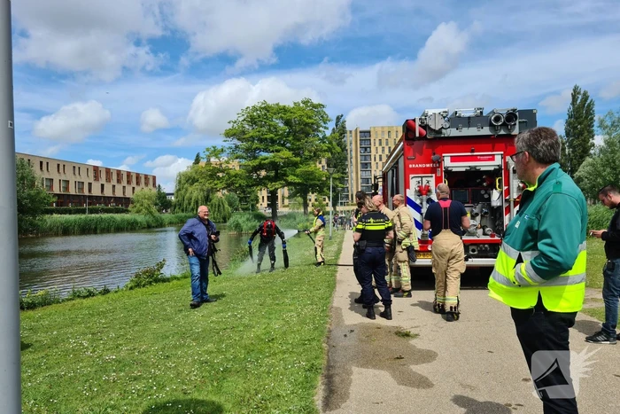 Brandweerduikers doorzoeken vijver