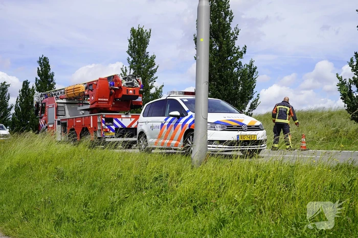 Auto belandt in dichtbegroeide sloot