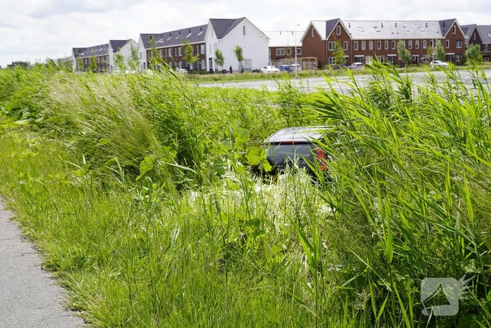 Auto belandt in dichtbegroeide sloot