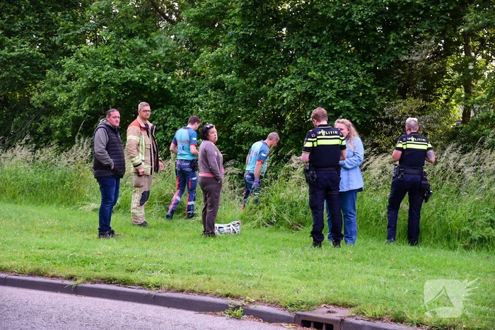 Auto rijdt over rotonde de sloot in