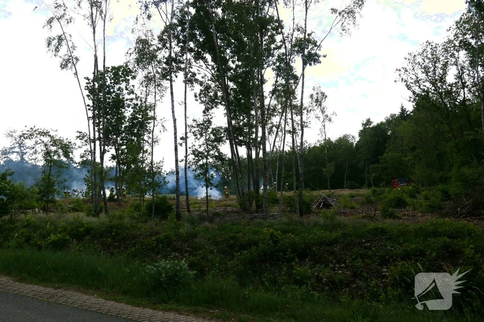 Brand in bosgebied
