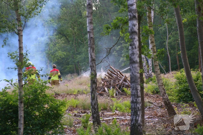 Brand in bosgebied