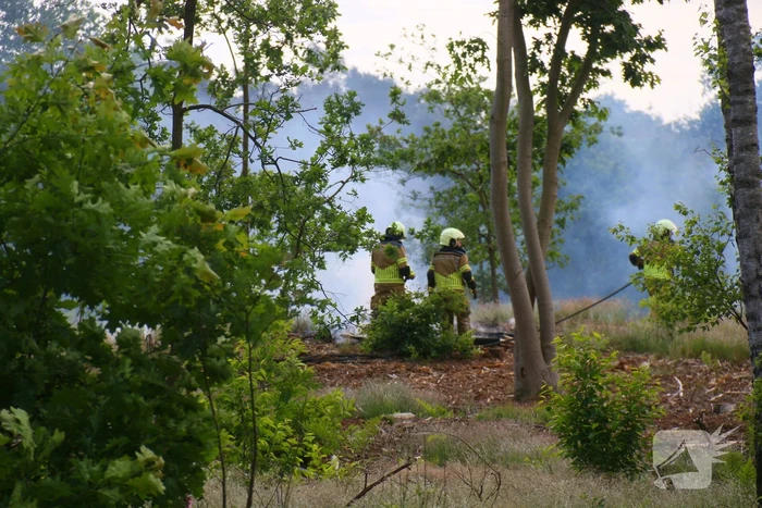 Brand in bosgebied