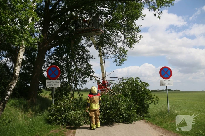 natuur apenbergerweg markelo