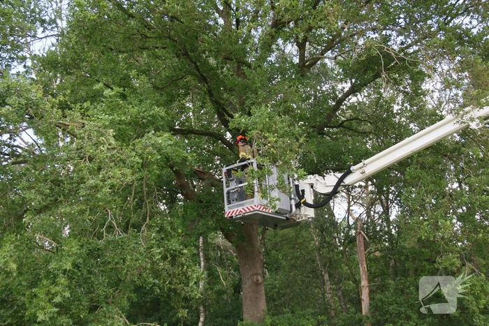Brandweer ingezet voor afgebroken tak