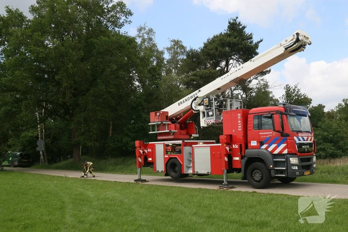 Brandweer ingezet voor afgebroken tak