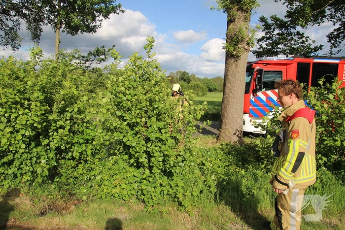 Weggegooid afval brand in bosjes