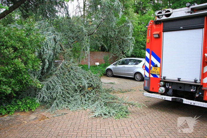 Enorme tak valt op geparkeerde auto