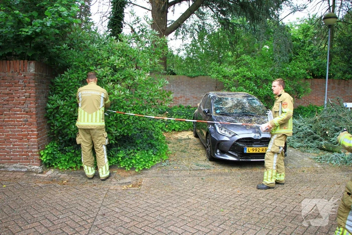 Enorme tak valt op geparkeerde auto