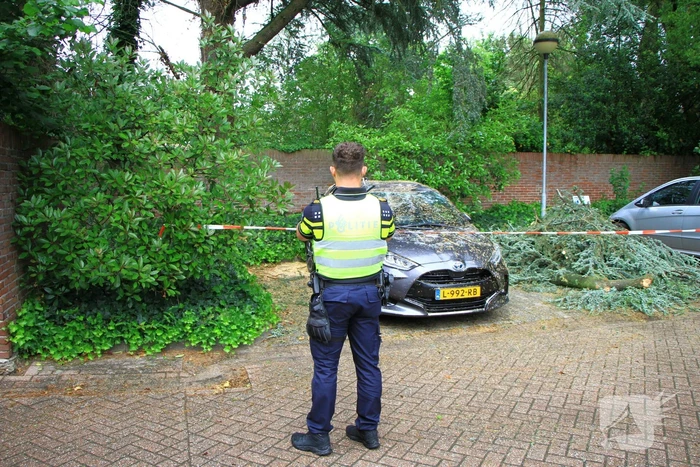 Enorme tak valt op geparkeerde auto