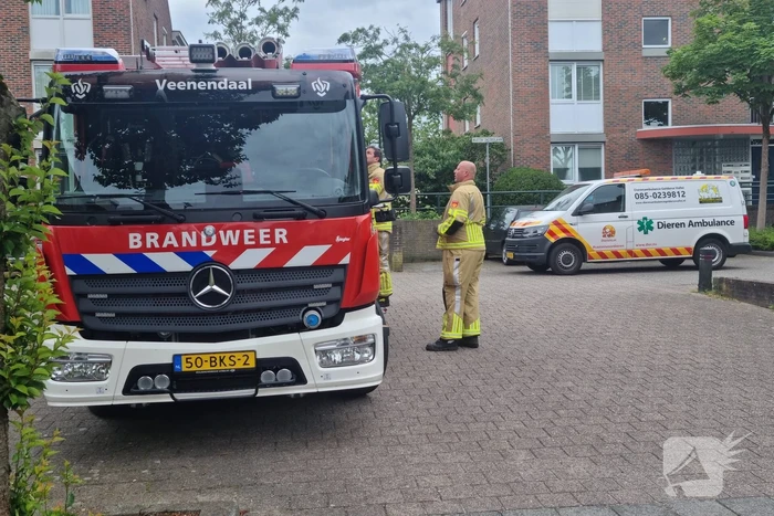 nieuws aletta jacobslaan veenendaal