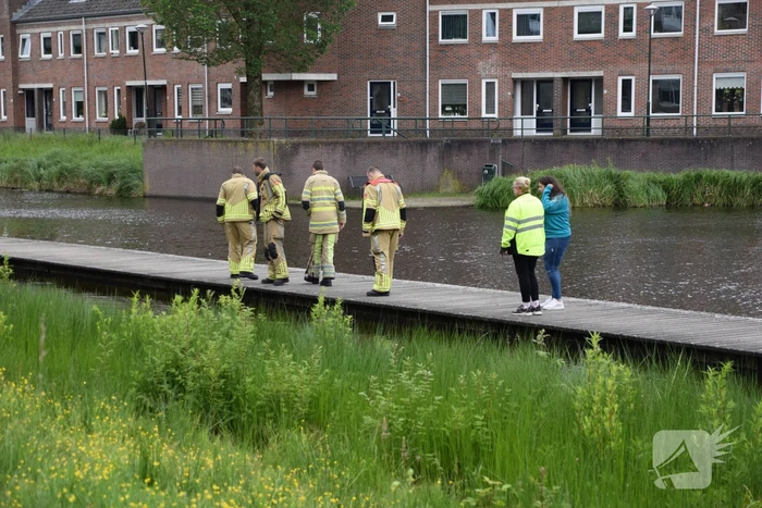 Eendjes herenigd met moeder eend
