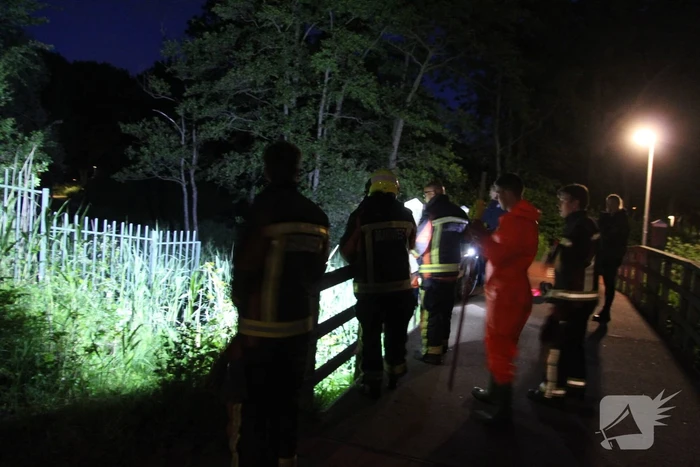 Hulpdiensten redden hond uit water