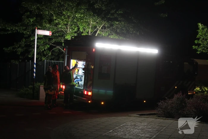 Hulpdiensten redden hond uit water