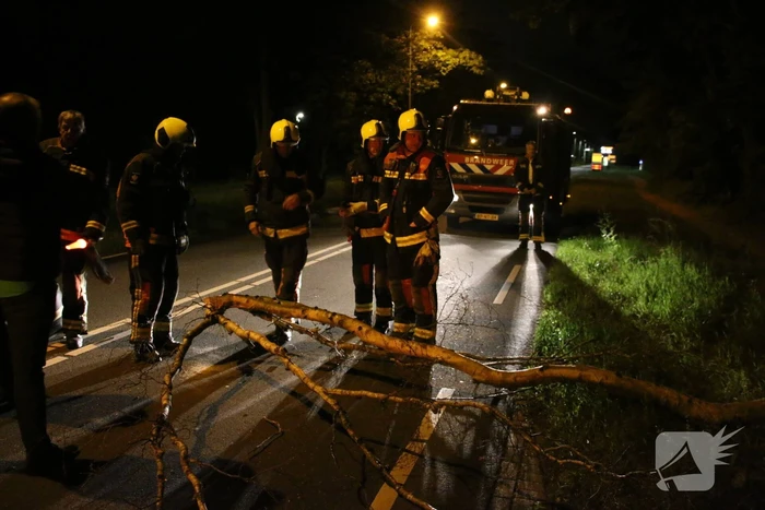 Personenauto beschadigd na omvallende boom