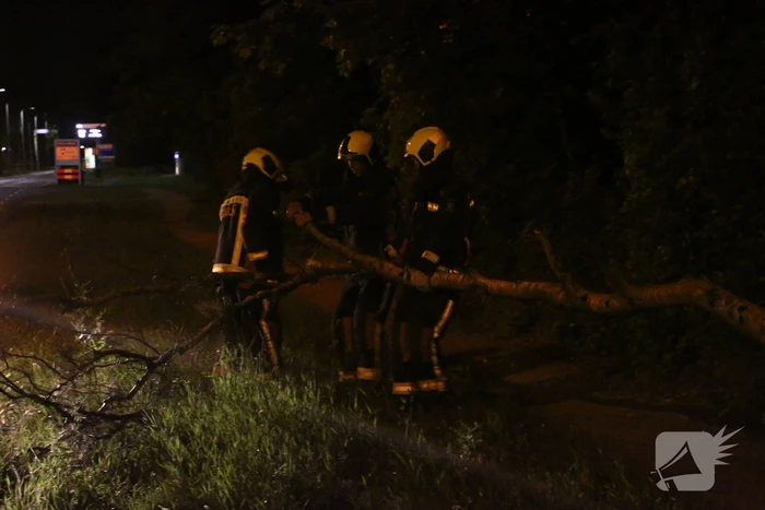 Personenauto beschadigd na omvallende boom