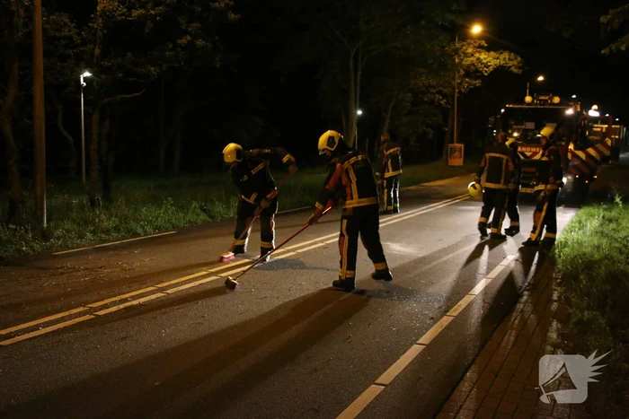 Personenauto beschadigd na omvallende boom
