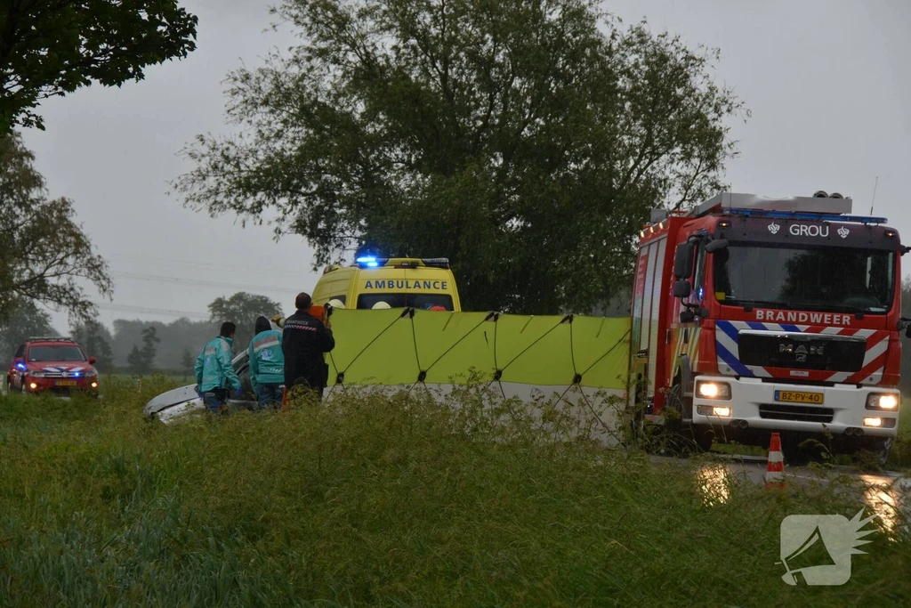 Reinerswei Grou 112 