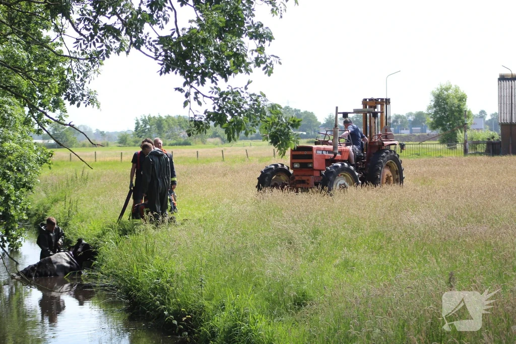 Vennestraat 112 melding Lisse 
