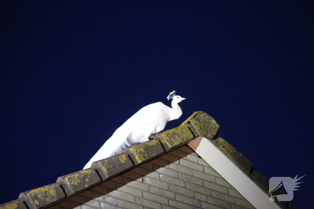 Uitvaltij 112 melding Noordwijk 