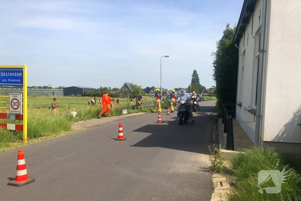 Pruimendijk 112 nieuws Ridderkerk 