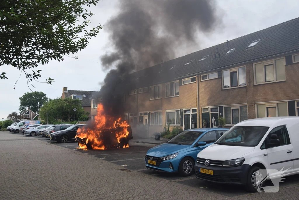 De Roos Nieuws Brouwershaven 