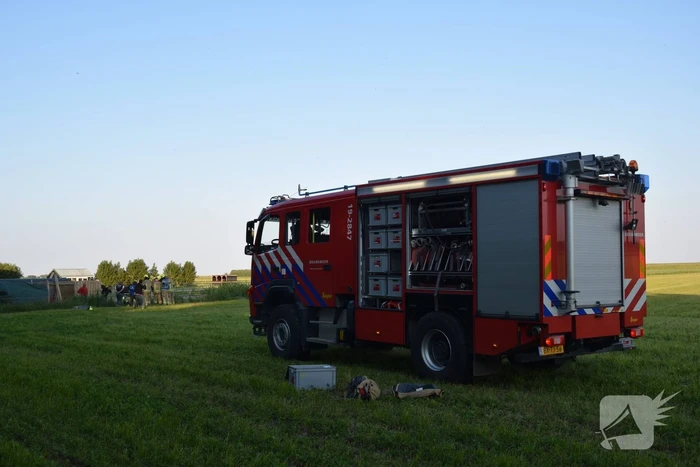 Brandweer redt paard uit de sloot