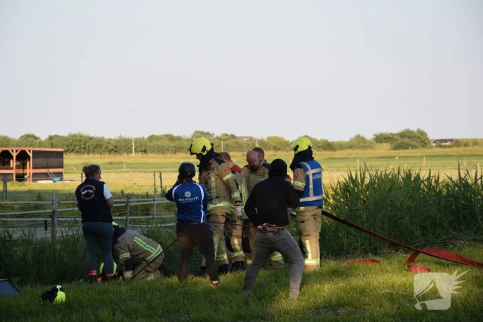 Brandweer redt paard uit de sloot