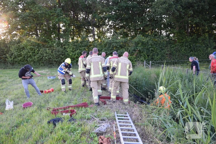 Brandweer redt paard uit de sloot