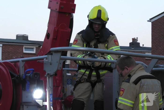 Brandweer redt kraai uit boom