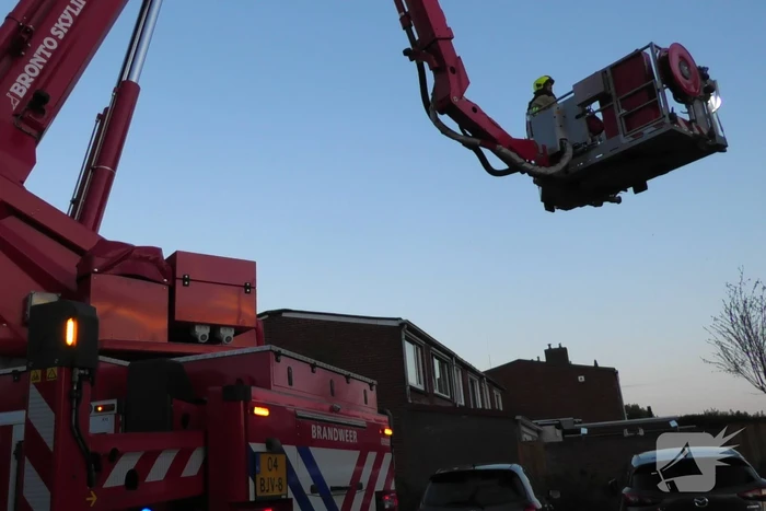 Brandweer redt kraai uit boom