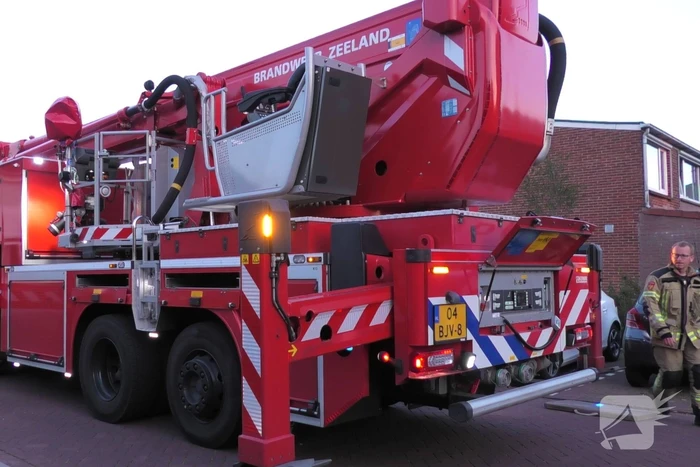 Brandweer redt kraai uit boom